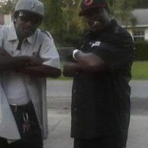 Meet your Posher, Willie